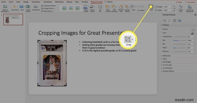 วิธีการครอบตัดรูปภาพใน PowerPoint