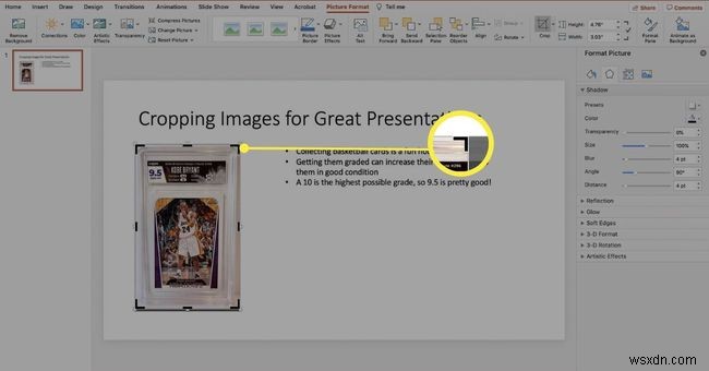 วิธีการครอบตัดรูปภาพใน PowerPoint