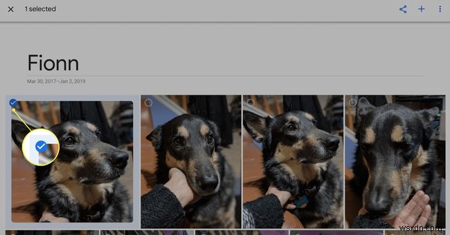 วิธีสร้างสไลด์โชว์ด้วย Google Photos