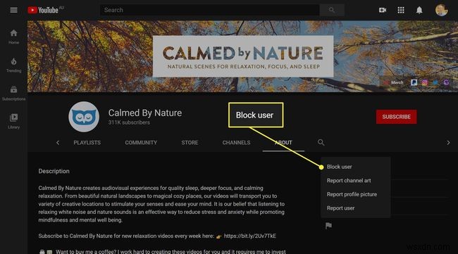 วิธีบล็อกช่อง YouTube