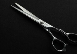 Windows 11 Snipping Tool ไม่ทำงาน:10 การแก้ไขที่เป็นไปได้