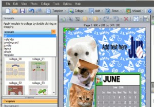 พิเศษประจำสัปดาห์คริสต์มาส:แจกฟรี Picture Collage Maker Pro