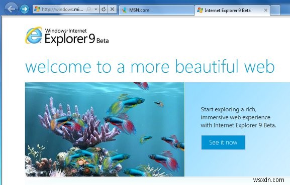 รีวิว Internet Explorer 9 รุ่นเบต้า