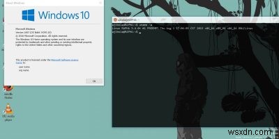 Windows 10 จะสามารถเข้าถึงไฟล์ Linux WSL ได้ในไม่ช้า