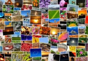 วิธีจัดระเบียบรูปภาพด้วยแอปรูปภาพใน Windows 10