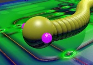 หนอนคอมพิวเตอร์คืออะไรและทำไมพวกมันถึงยังเป็นอันตราย