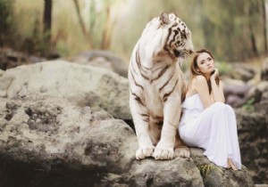 4 โปรแกรมบีบอัดรูปภาพและเครื่องมือเพิ่มประสิทธิภาพออนไลน์ที่ยอดเยี่ยม