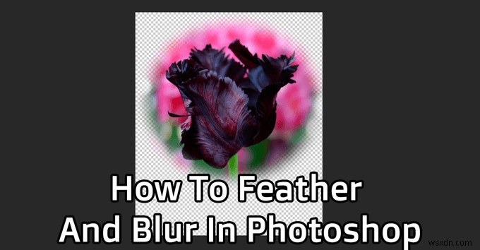 วิธีการ Feather และ Blur ใน Photoshop 