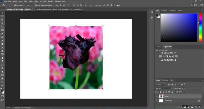 วิธีการ Feather และ Blur ใน Photoshop 