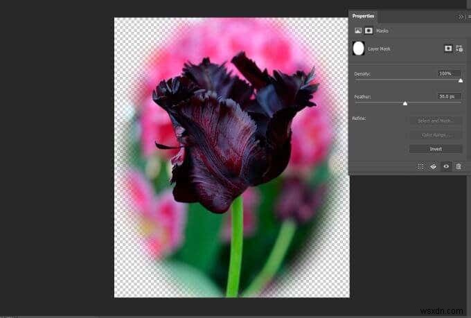 วิธีการ Feather และ Blur ใน Photoshop 