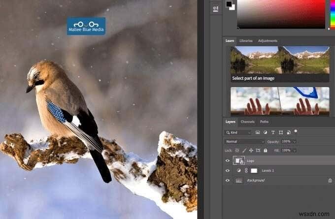 วิธีการปรับขนาด รวม และรวมเลเยอร์ใน Photoshop 