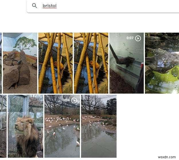วิธีใช้เครื่องมือค้นหารูปภาพอันทรงพลังที่มีอยู่ใน Google Photos 