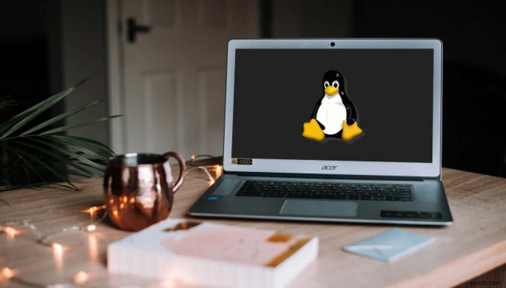 วิธีการติดตั้ง Linux Distro บน Chromebook ของคุณ 