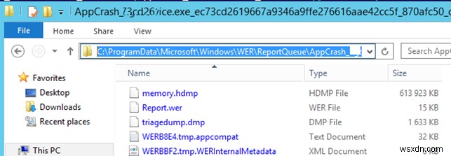 วิธีปิดใช้งานการรายงานข้อผิดพลาดของ Windows และล้างโฟลเดอร์ WER\ReportQueue บน Windows 