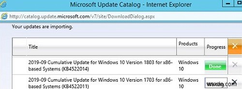 วิธีการนำเข้า (เพิ่ม) การปรับปรุงด้วยตนเองใน WSUS จาก Microsoft Update Catalog? 