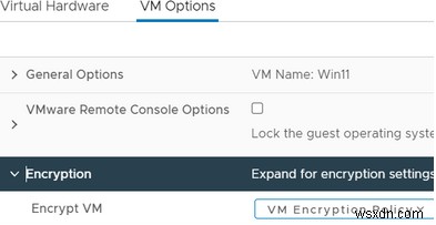 จะติดตั้ง Windows 11 บน VMware Virtual Machine ได้อย่างไร? 