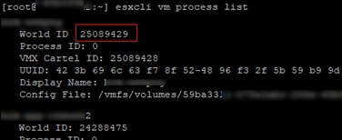 VMware ESXi:วิธีฆ่าเครื่องเสมือนที่ไม่ตอบสนอง (ติดค้าง) 