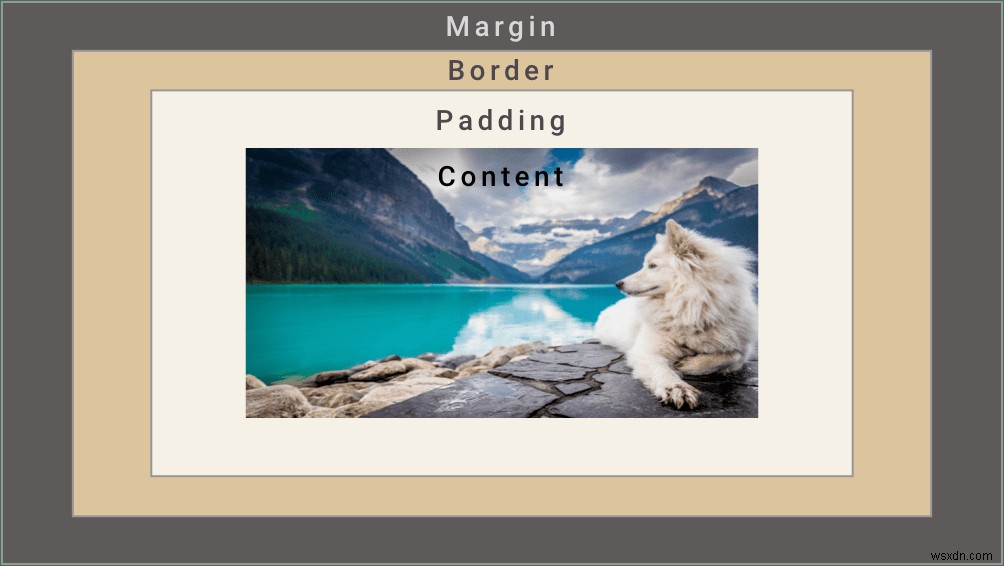 CSS Padding vs Margin:วิธีบอกความแตกต่าง 