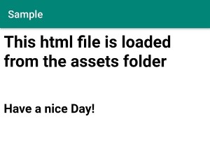จะโหลดไฟล์จากไดเรกทอรีแอสเซทไปยัง WebView ใน Android ได้อย่างไร 
