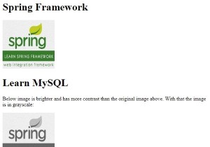 การแปลงรูปภาพเป็นโทนสีเทาโดยใช้ CSS3 
