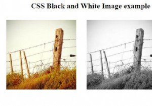 จะสร้างภาพขาวดำด้วย CSS ได้อย่างไร? 