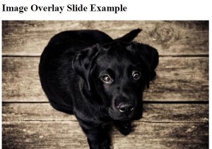 จะสร้างเอฟเฟกต์สไลด์โฮเวอร์ซ้อนทับรูปภาพด้วย CSS ได้อย่างไร 