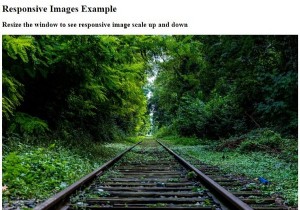 จะสร้างภาพที่ตอบสนองด้วย CSS ได้อย่างไร? 