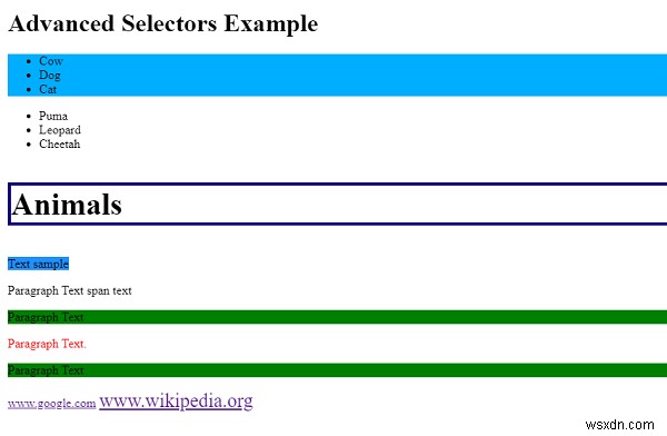 ตัวเลือกขั้นสูงใน CSS 