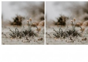 รักษาคุณภาพของรูปภาพเมื่อใช้ CSS Transform &Scale 