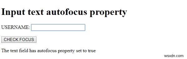 คุณสมบัติการโฟกัสอัตโนมัติของข้อความอินพุต HTML DOM 