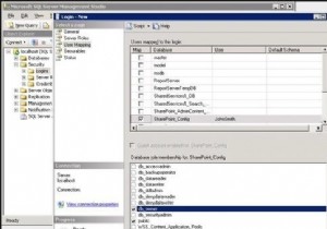 ในฐานข้อมูล SAP การนำเข้าคอลัมน์ของตารางที่มี / ในชื่อ 
