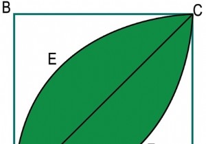 พื้นที่ของใบไม้ภายในสี่เหลี่ยม? 