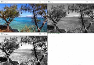จะใช้ Histogram Equalizer ใน OpenCV โดยใช้ C ++ ได้อย่างไร 