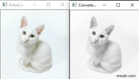 จะแปลงช่องว่างสีใน OpenCV โดยใช้ C ++ ได้อย่างไร 