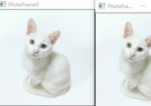 Image Array คืออะไร? อธิบายด้วยตัวอย่างในภาษา C++ 