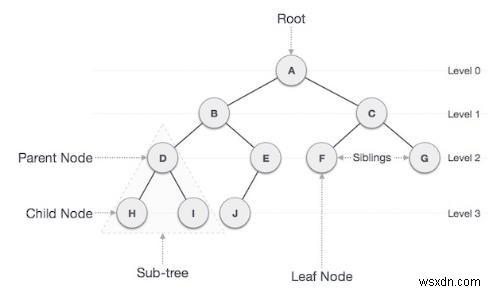 นับโหนดที่ไม่ใช่ Leaf ใน Binary Tree ใน C++ 