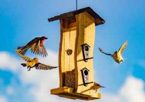 จะใช้เมทริกซ์คอนโวลูชั่น 3 × 3 โดยใช้อิมเมจคอนโวลูชั่น () ใน PHP ได้อย่างไร 