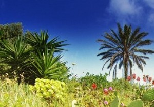 เติมสีเฉพาะใน PHP โดยใช้ฟังก์ชัน imagefilltoborder() () (GD) 