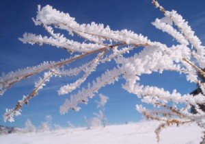 วิธีสร้างรูปภาพใหม่จากไฟล์ PNG หรือ URL โดยใช้ฟังก์ชัน imagecreatefrompng () ใน PHP 