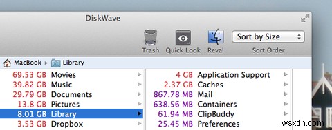 ล้างไฟล์ขนาดใหญ่ที่ไม่ต้องการด้วย DiskWave สำหรับ Mac 