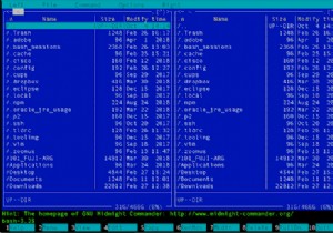 8 แอพ Homebrew ที่มีประโยชน์ที่สุดในการติดตั้งบน Mac 
