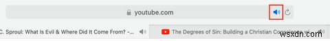 การเล่นเสียงที่น่ารำคาญใน Safari? นี่คือวิธีค้นหาและปิดเสียงแท็บ Safari ที่มีเสียงดัง 