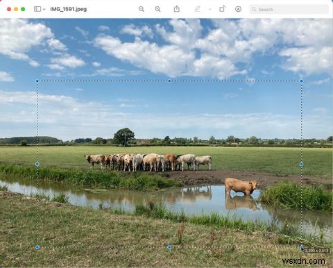 วิธีครอบตัดรูปภาพบน Mac ของคุณ 