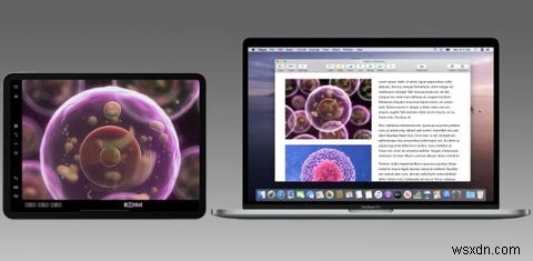 วิธีใช้ iPad ของคุณเป็นจอภาพ Mac เครื่องที่สองด้วย Sidecar 