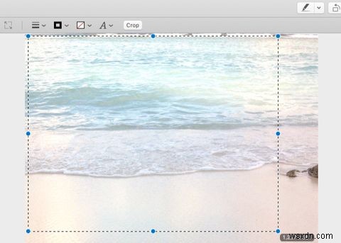 วิธีแก้ไขรูปภาพบน Mac โดยใช้แอพดูตัวอย่าง 