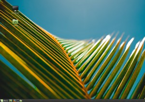 10 เหตุผลที่ทำให้คุณหลงรัก Linux Mint 