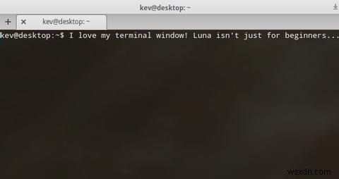 กำลังมองหา Linux Distro ที่สวยงามและใช้งานง่ายอยู่ใช่ไหม ลองใช้ Elementary OS Luna 