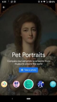 ค้นหาสัตว์เลี้ยงของคุณในงานศิลปะที่มีชื่อเสียงด้วยแอปศิลปะและวัฒนธรรมของ Google