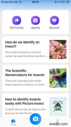 แอพ 5 อันดับแรกบน iPhone สำหรับระบุแมลงและแมลง 