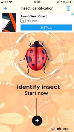 แอพ 5 อันดับแรกบน iPhone สำหรับระบุแมลงและแมลง 
